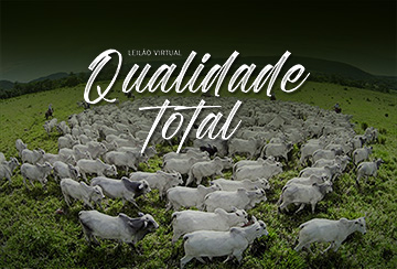 LEILÃO VIRTUAL QUALIDADE TOTAL